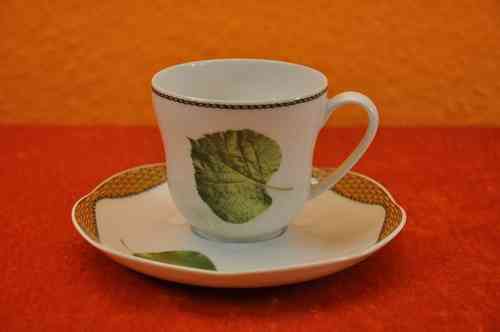 Coffee Set Cup Saucer Hutschenreuther Saison