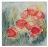 Konstanze Klein KatNo. 202 - Poppies watercolor