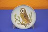 Goebel Wall plate Wildlife Barn Owl 1976