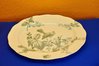 English ceramic plate BWM & co. Woodpecker 1900