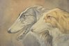 Pencil Watercolour 2 Borschoi Dogs signed in 1970