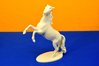 A. K. Kaiser Porzellanfigur 424 aufsteigendes Pferd