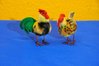 Steiff Rooster and Hen from the 60s