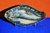 Majolika Fischschale Heringe tolle Form und Farben 1900
