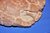 Versteinerte Schildkröte 14,9 Kg Fossil 32 cm