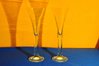 Thomas Colonna Champagner Flutes 2 Goblets