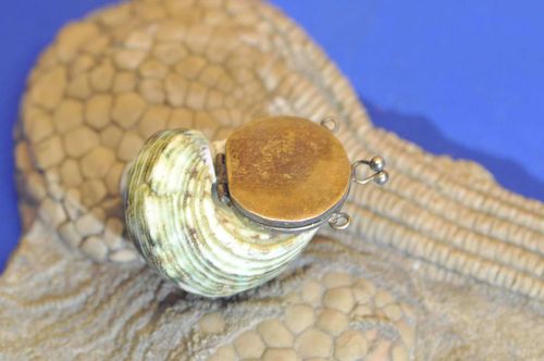 Snail shell lidded box for necklace or bag