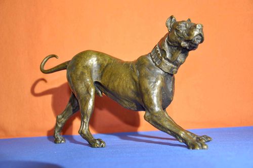 Dogge große Bronze Tierfigur feine Ausformung 1880er
