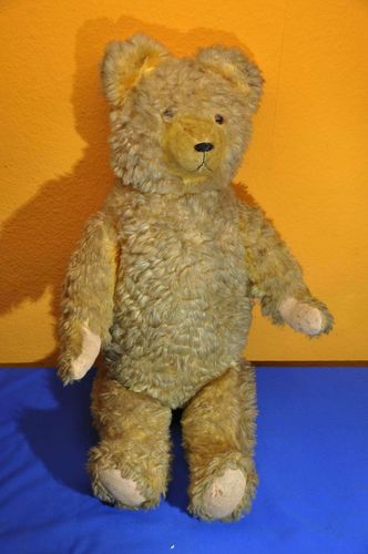 Old large teddy bear with wood wool 1960s